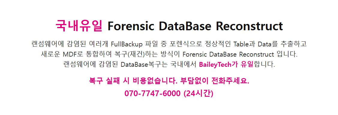 PC가 랜섬웨어에 감염되었을 때 포렌식을 통한 데이터 복구방법 복구 자료 2